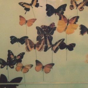 Meet your Posher, Julia